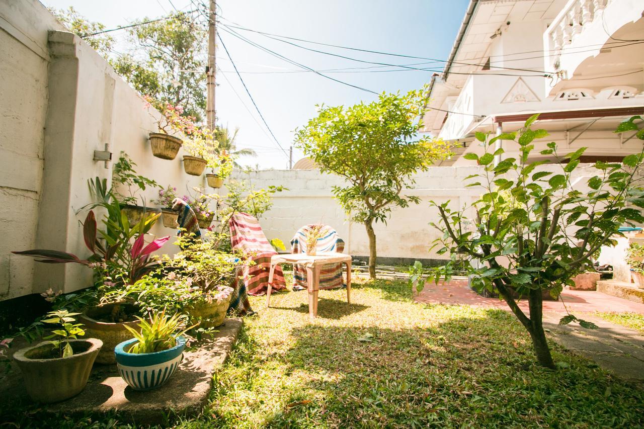 Chill Space Negombo Kültér fotó
